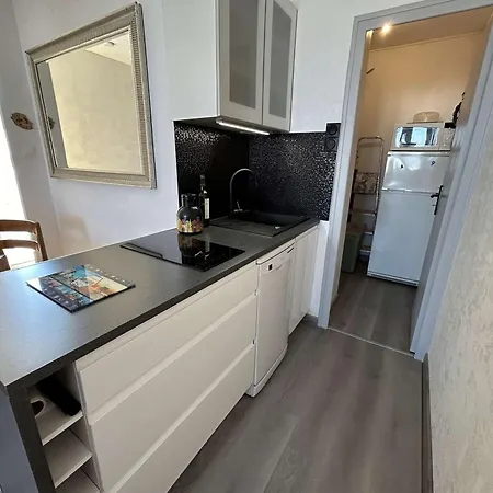 Renove 300m Plage, Balcon, Parking Prive, 4-5 Couchages, - Fr-1-224c-316 Apartment *