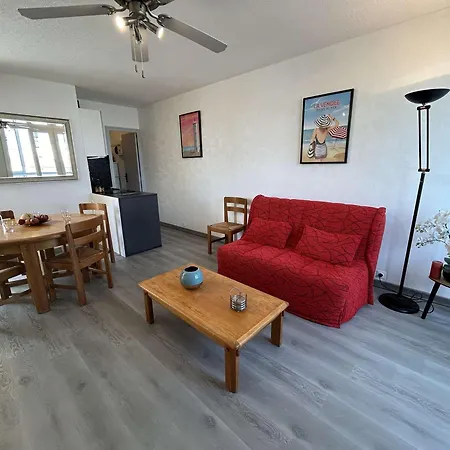 Apartment Renove 300m Plage, Balcon, Parking Prive, 4-5 Couchages, - Fr-1-224c-316 *